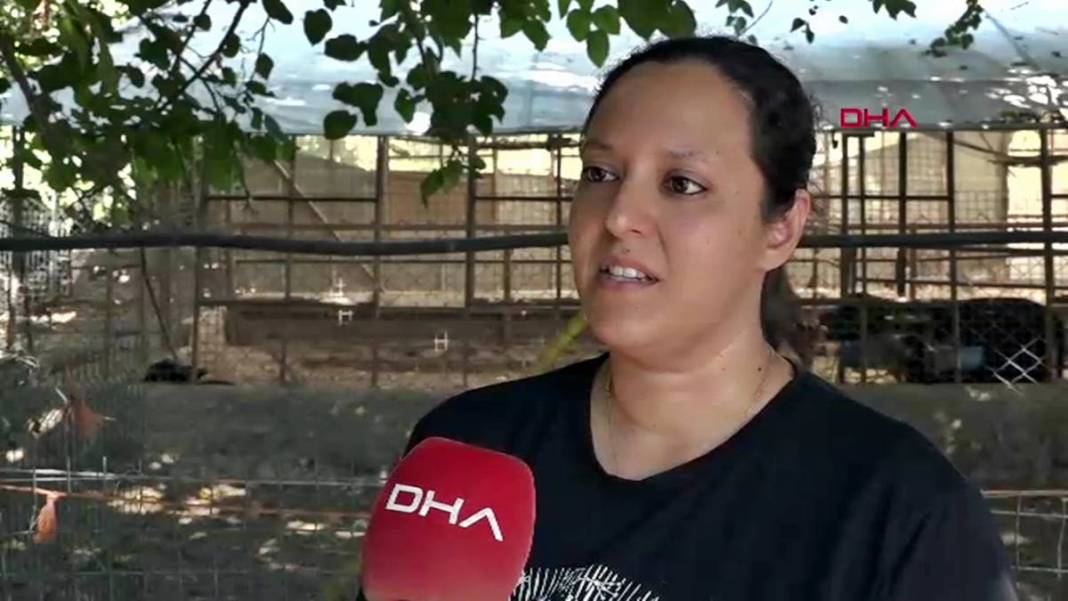 İş bulamayınca köyüne dönüp manda sütü satmaya başladı: Şimdi patron oldu! İletişim fakültesi mezunuydu, besici oldu 12